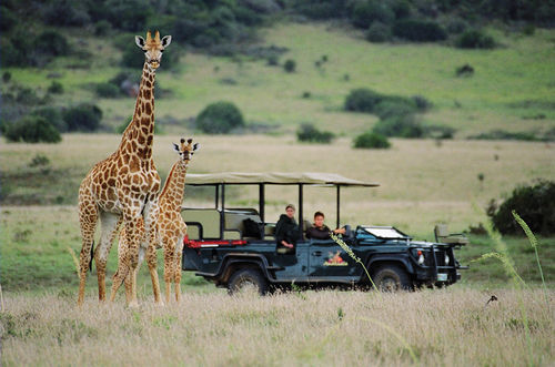 Amakhala Safari Lodge Paterson Екстериор снимка