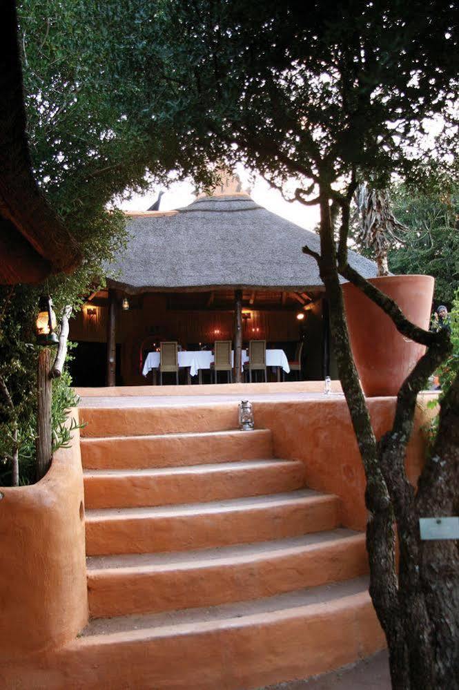 Amakhala Safari Lodge Paterson Екстериор снимка