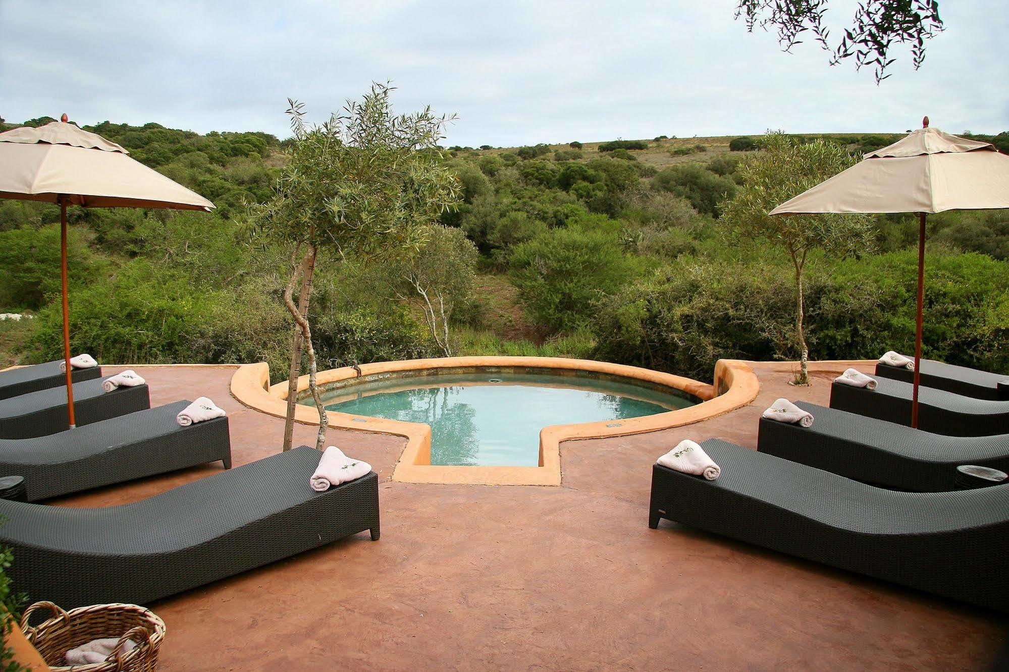 Amakhala Safari Lodge Paterson Екстериор снимка